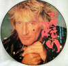 ROD STEWART- MY HEART CAN'T TELL YOU NO