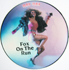 MAD MAX - FOX ON THE RUN