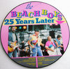 THE BEACH BOYS - SURFING SAFARI / 25 YEARS LATER
